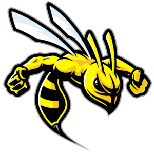 BEE-HORNETS-LOGO-1-300×300